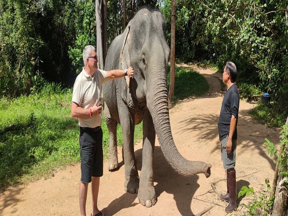 Supaporn Elephant Camp