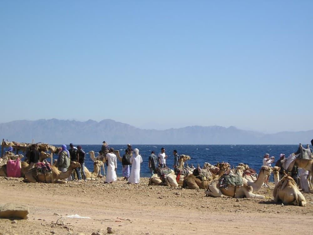 King Safari Dahab St. Catherine/Mt. Sinai Trip - Day