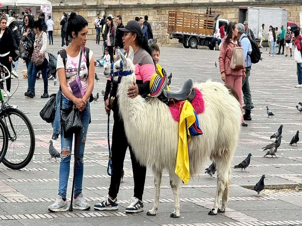 Bogotá: Plaza de Bolívar de Bogotá | ®ExcursionMania