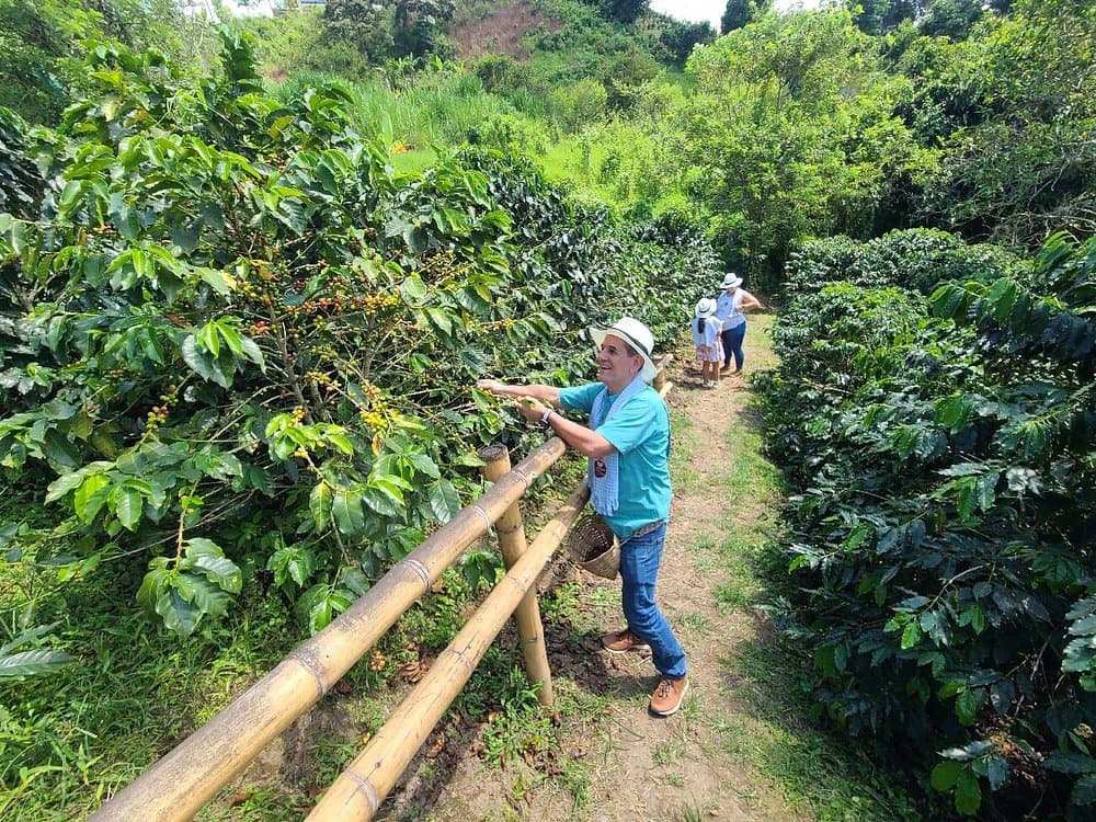 La Divisa De Don Juan