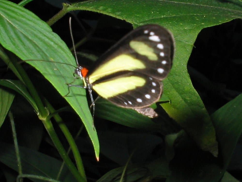 Jardin Botanico Universidad Tecnologica de Pereira