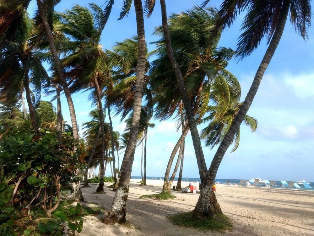 Playa de Spratt Bight