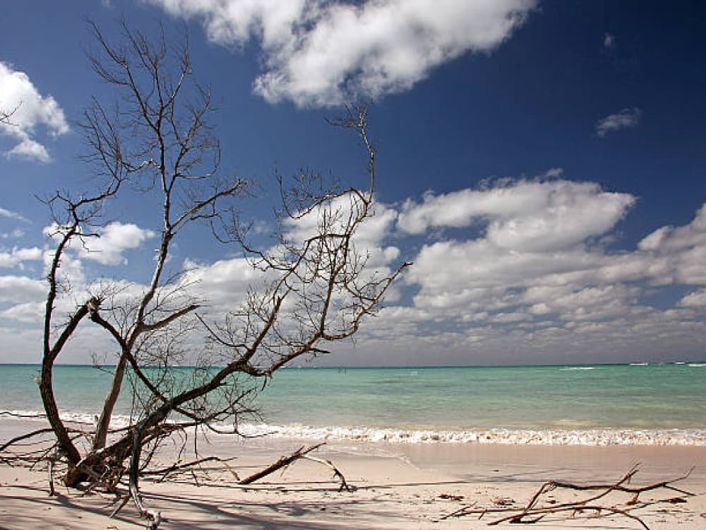 San Andrés: Cayo Acuario | ®ExcursionMania