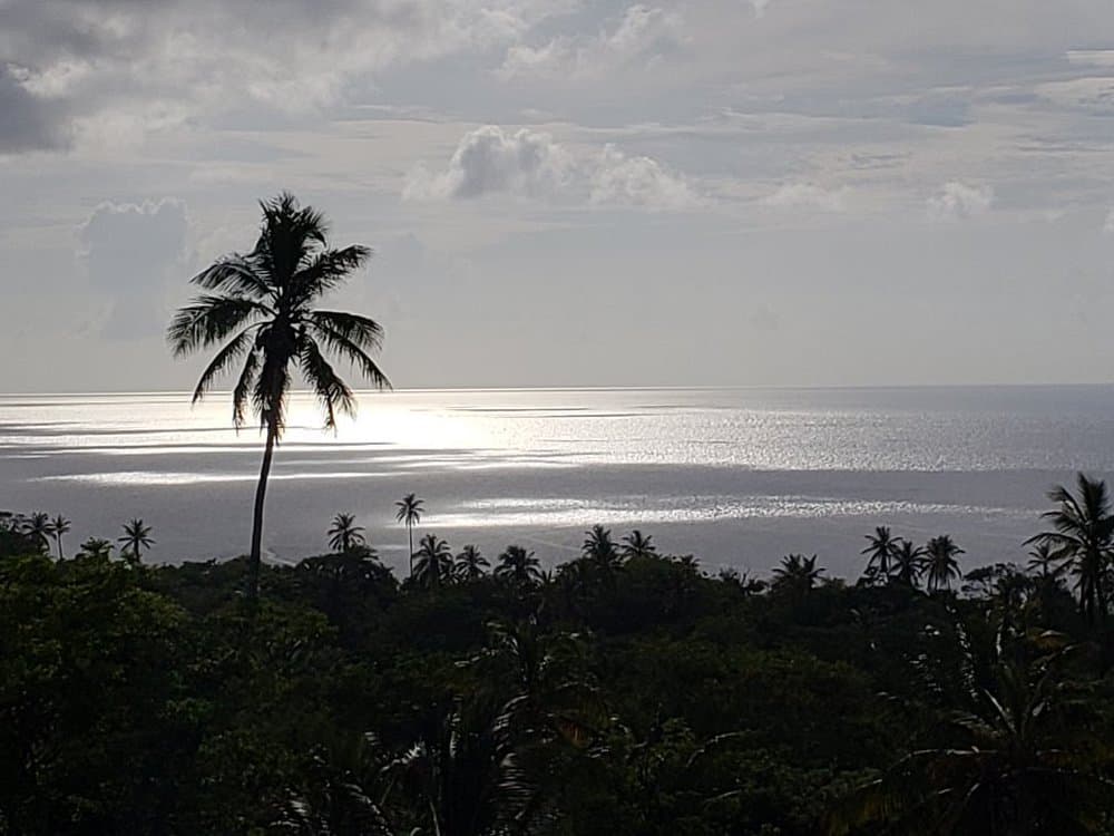 Primera Iglesia Bautista Hispana