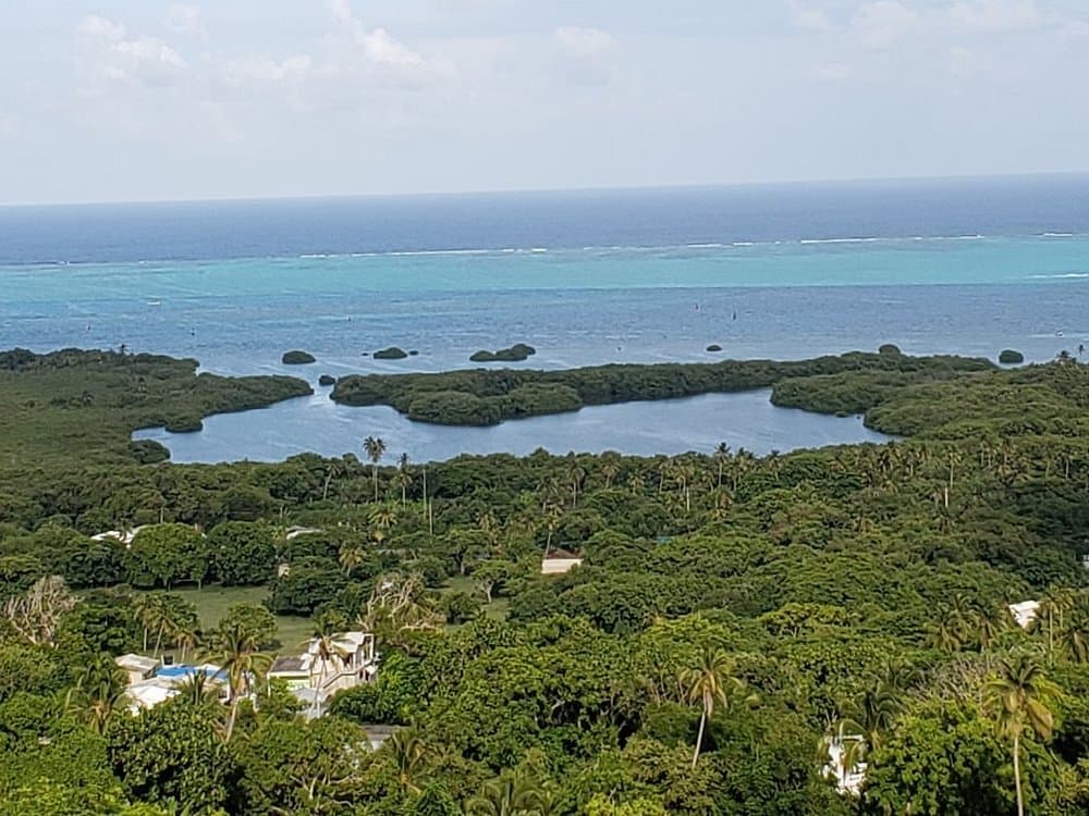 Primera Iglesia Bautista Hispana