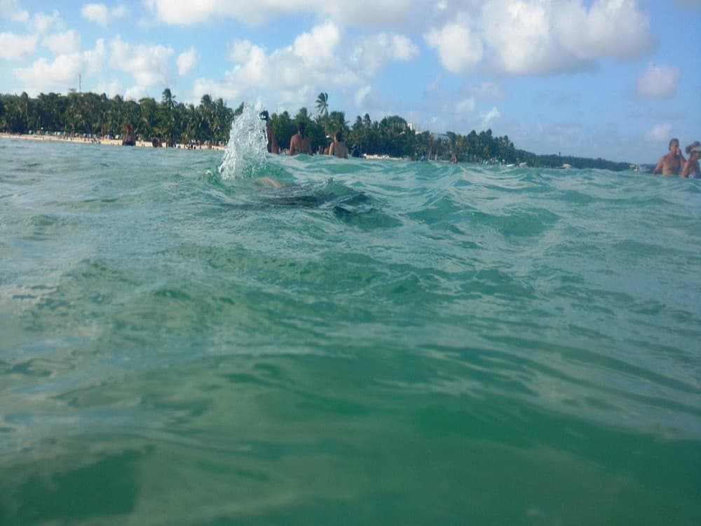 San Andrés: Cayo Rocoso | ®ExcursionMania