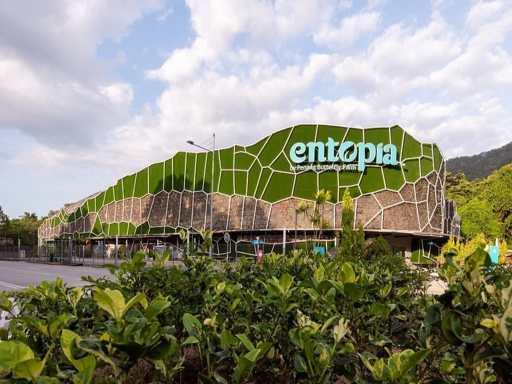 Entopia
