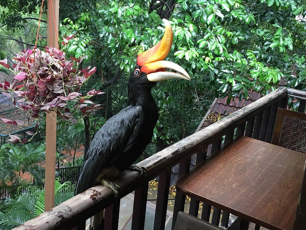 Kuala Lumpur: Bird Park | ®ExcursionMania