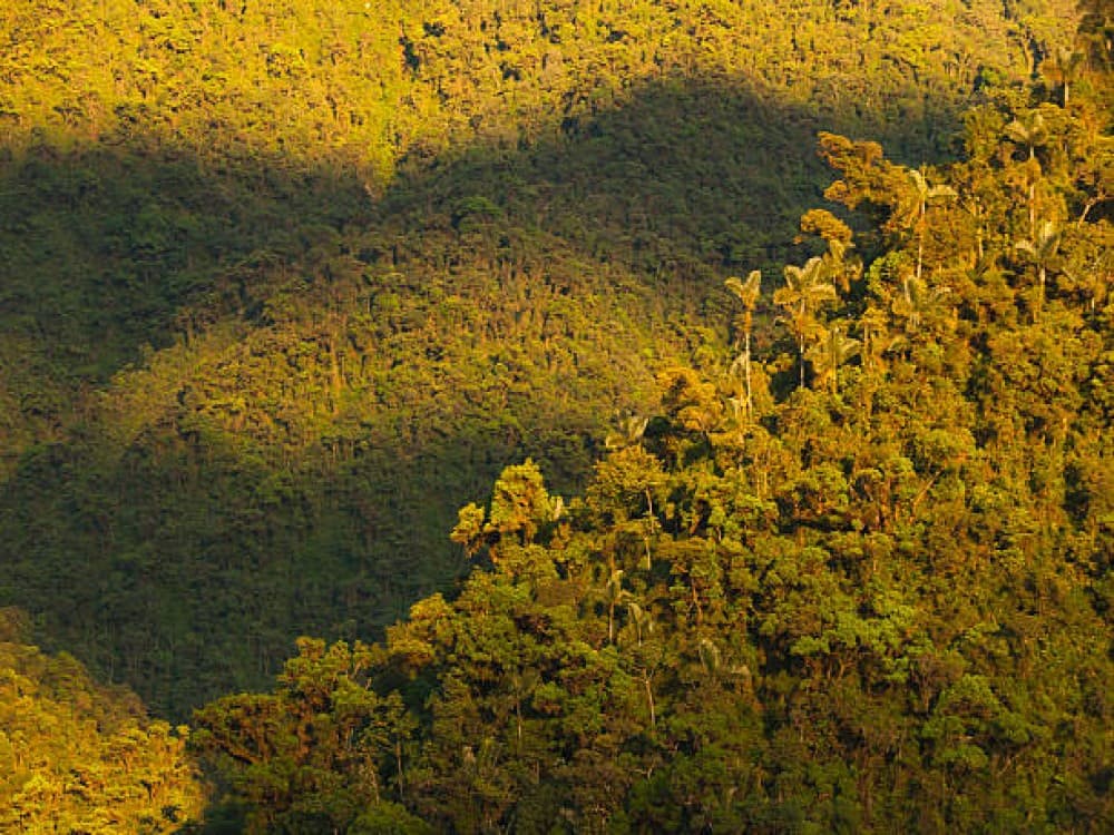 Kilim Geoforest Park
