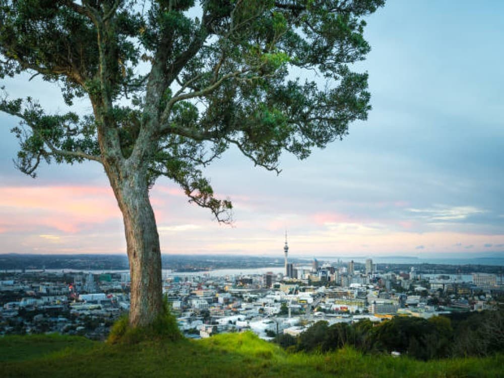 Mount Eden