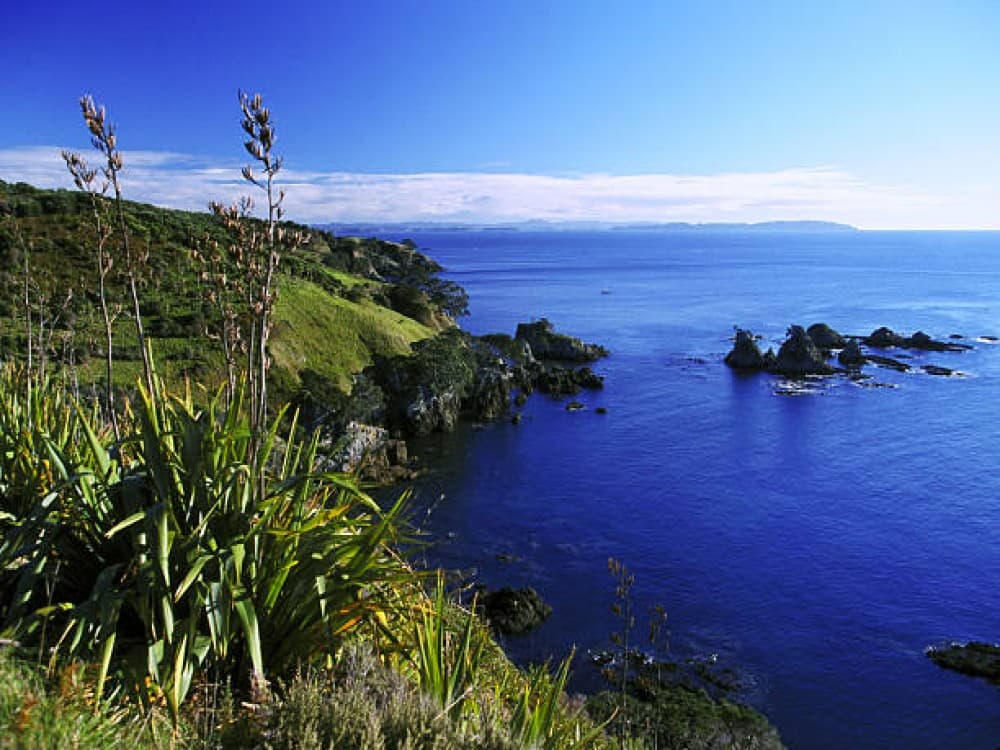Tiritiri Matangi Island
