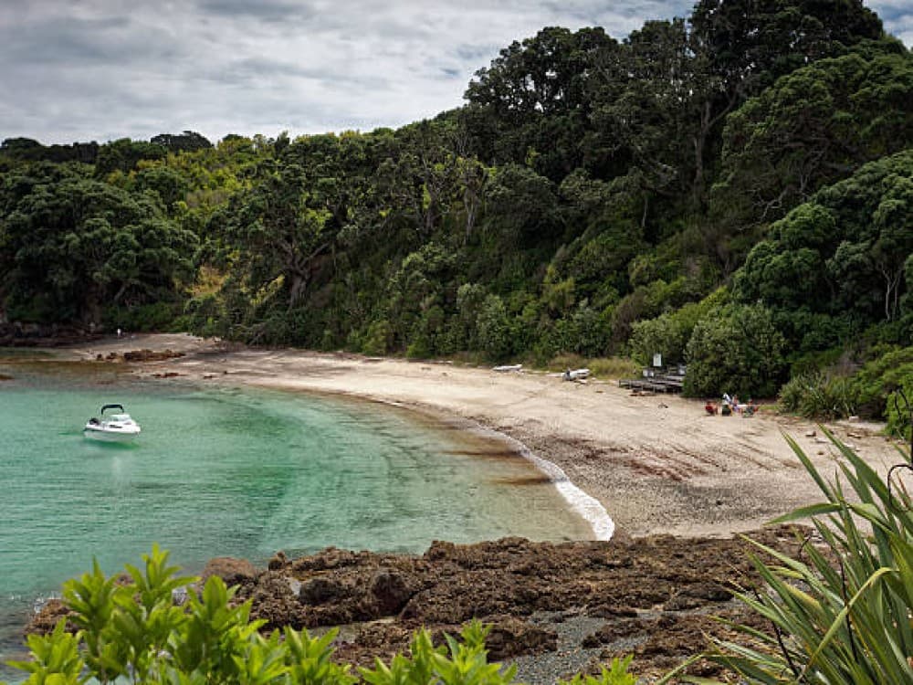 Tiritiri Matangi Island