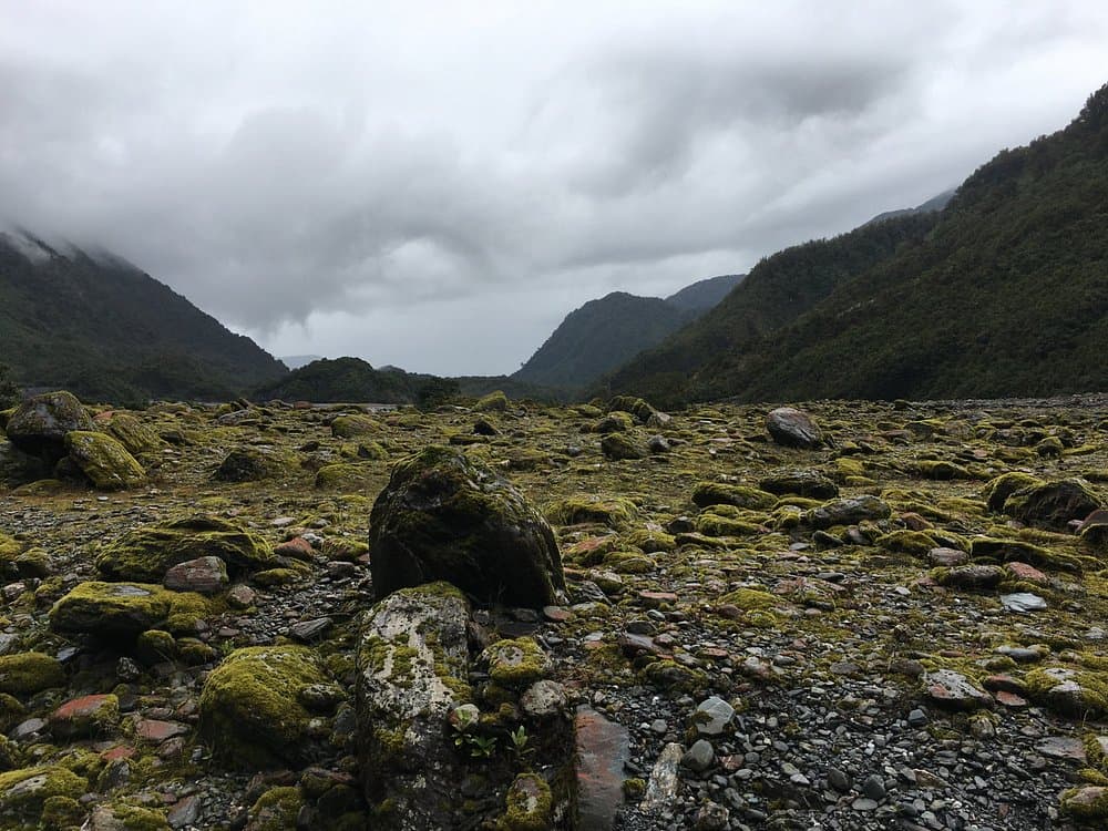 Franz Josef Glacier