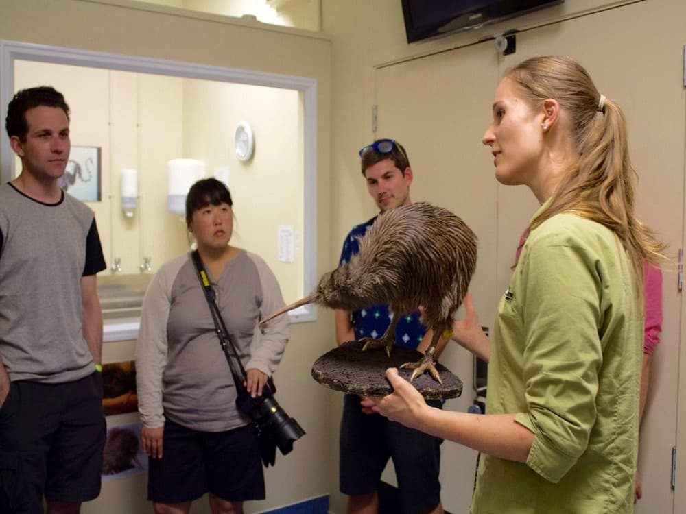 West Coast Wildlife Centre