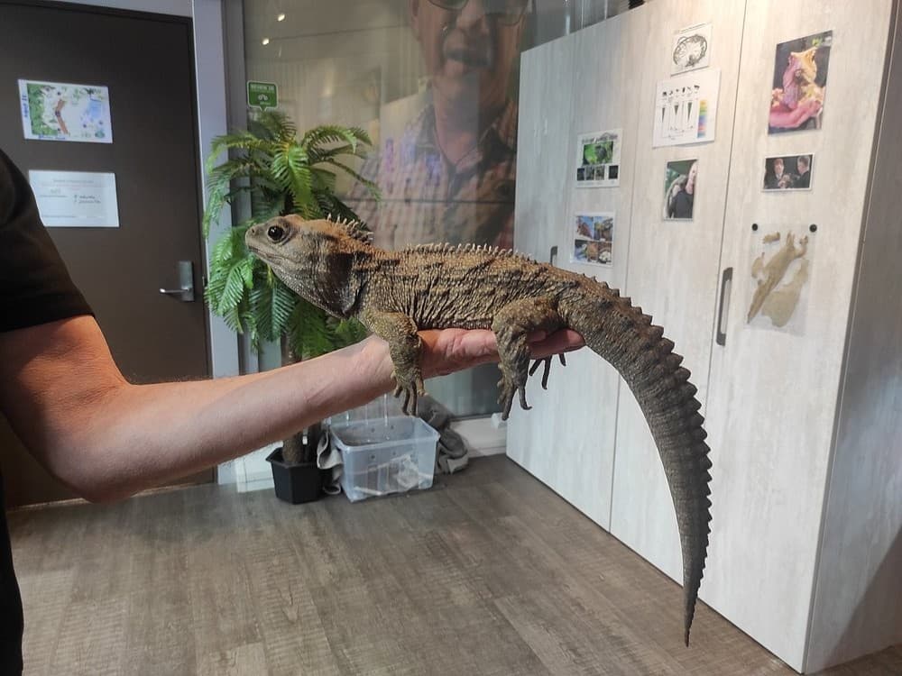 West Coast Wildlife Centre