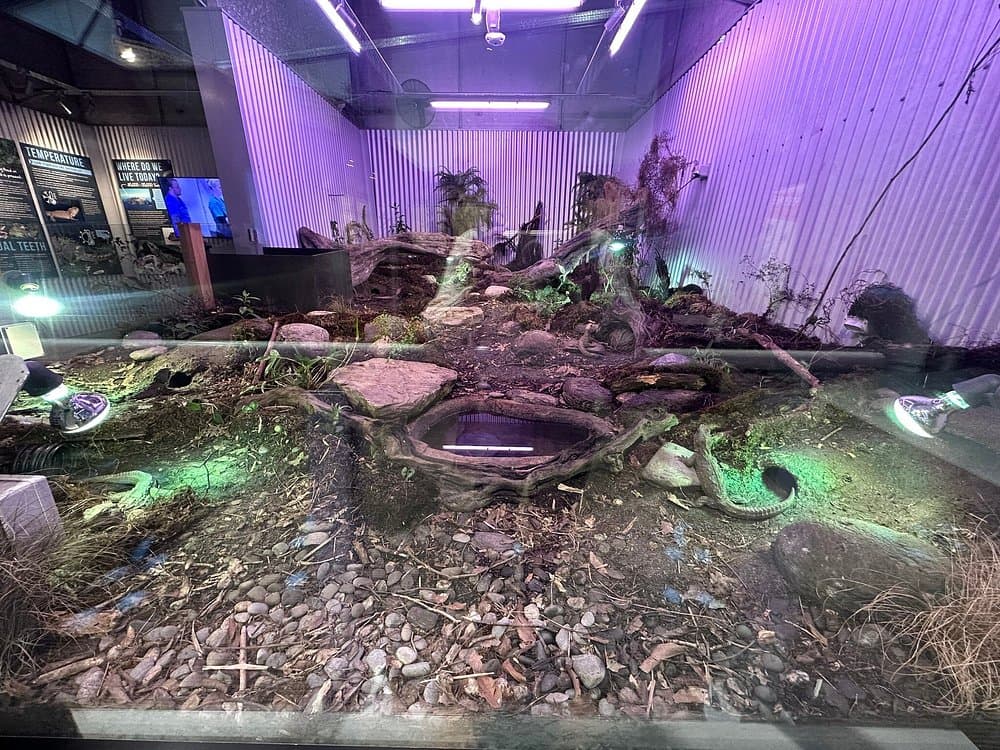 West Coast Wildlife Centre