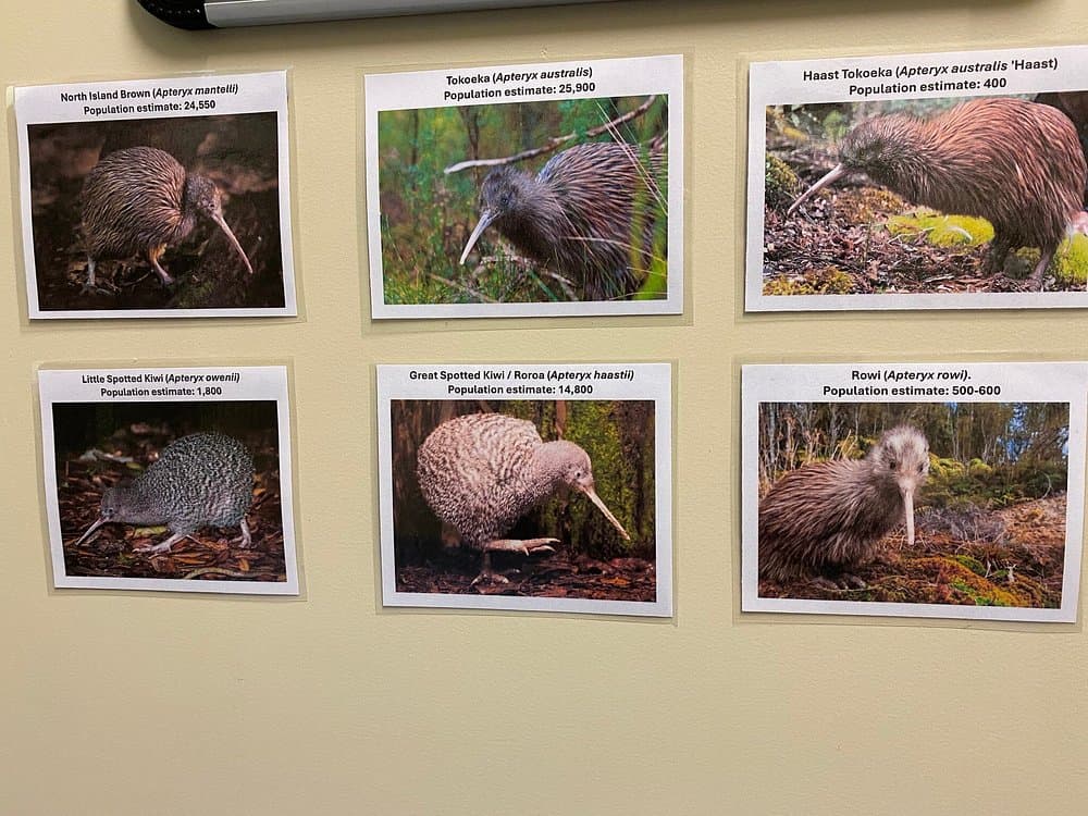 West Coast Wildlife Centre