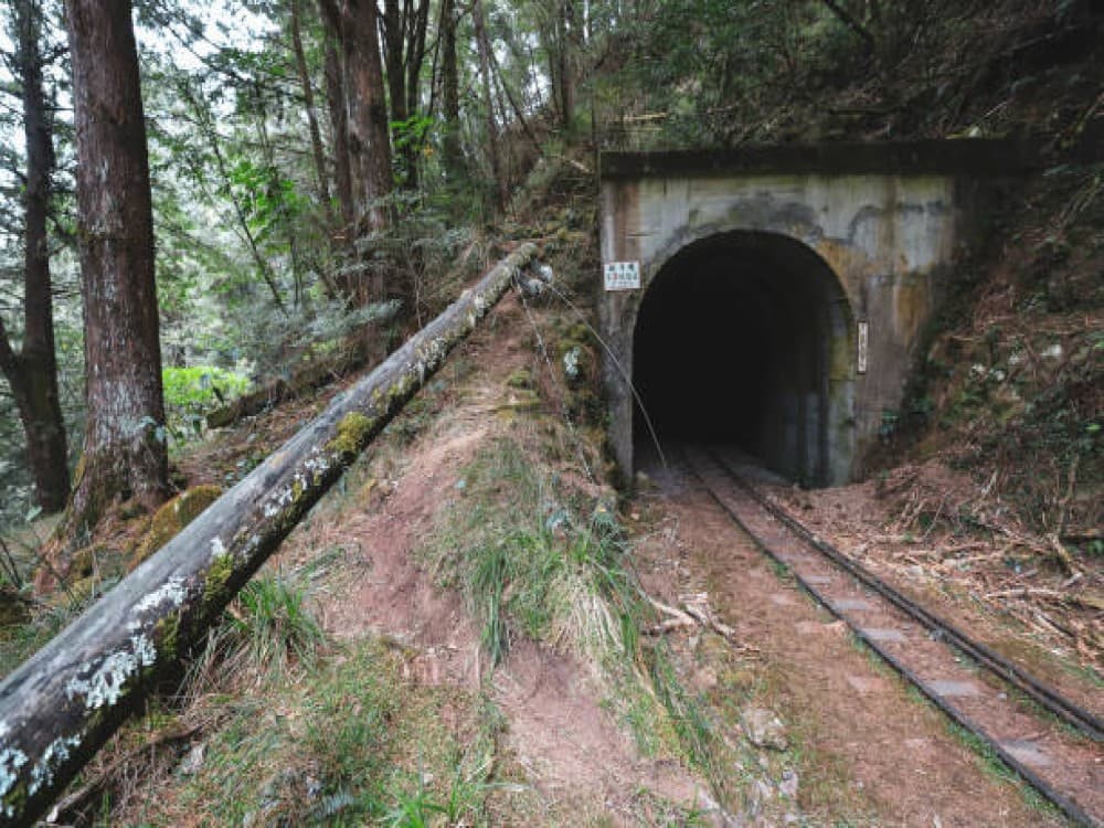 Tatare Tunnels Walk