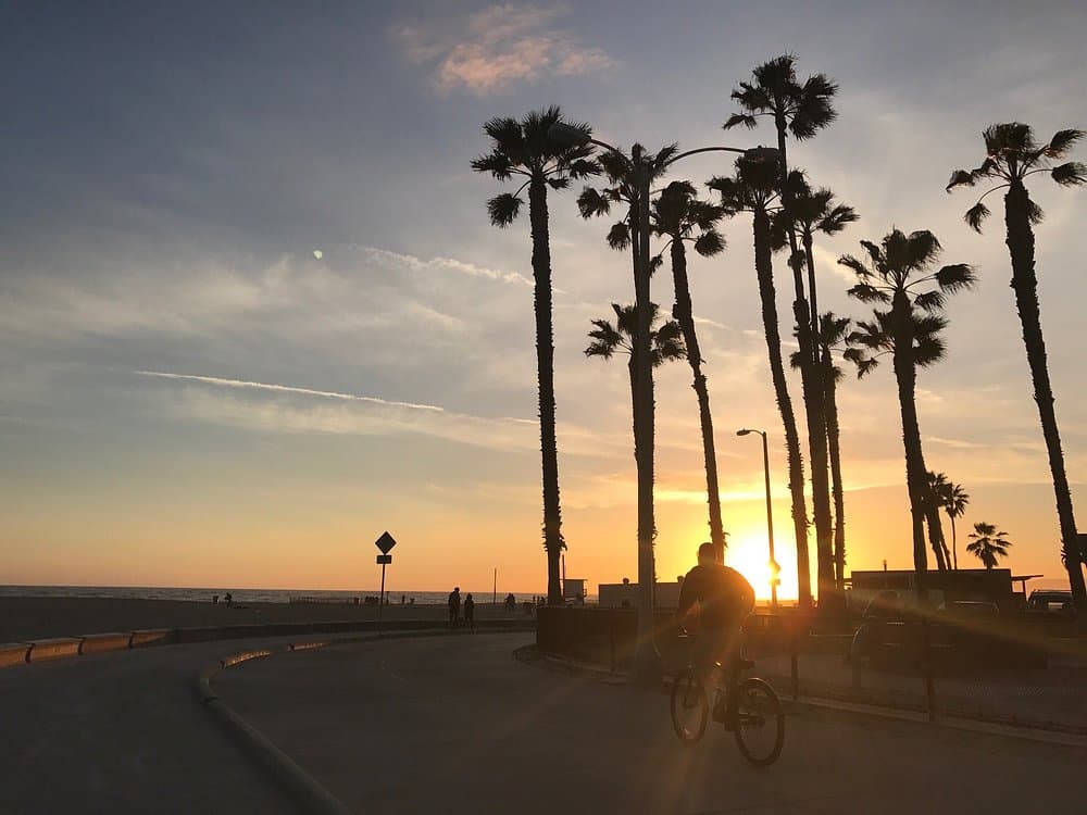 Venice Beach