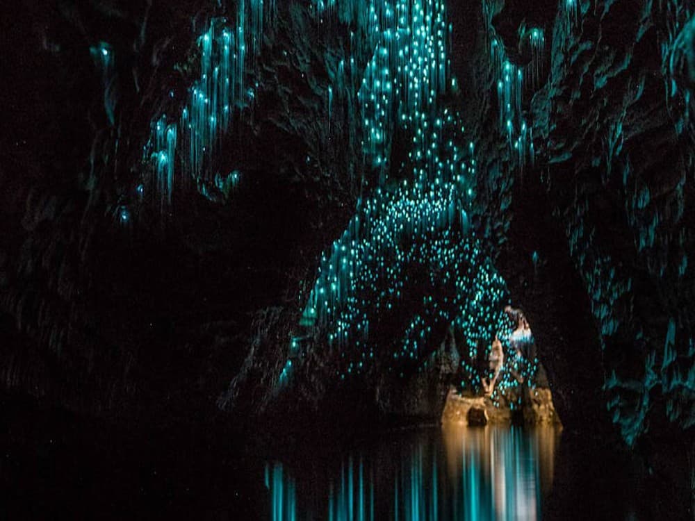 Te Anau Glowworm Caves