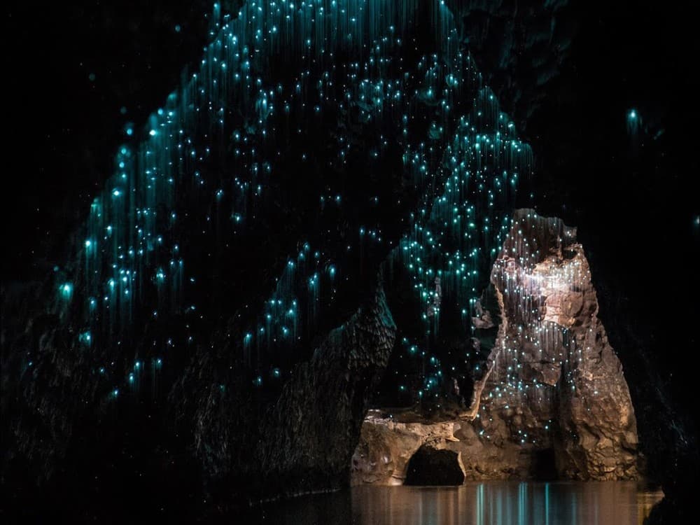 Te Anau Glowworm Caves