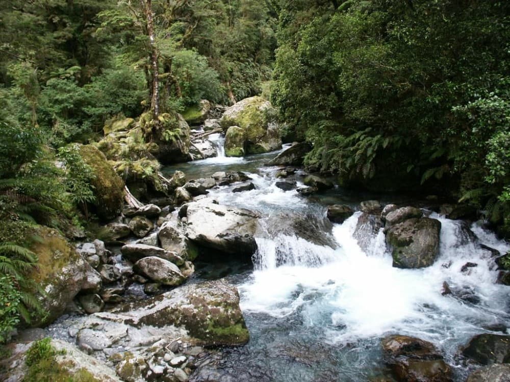 Fiordland National Park