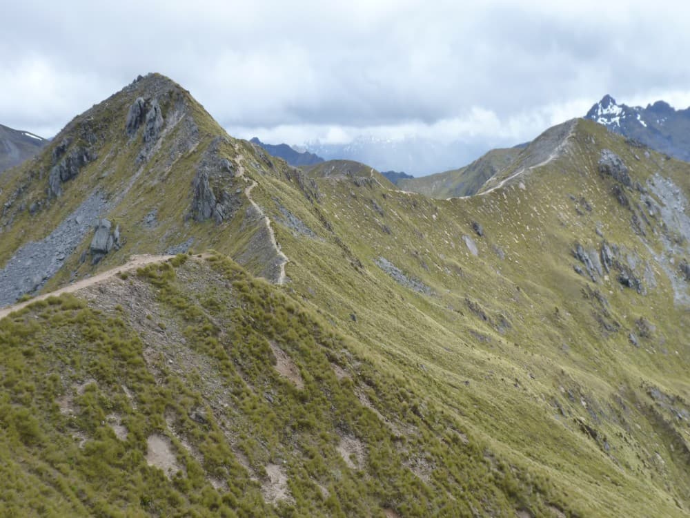 Kepler Track