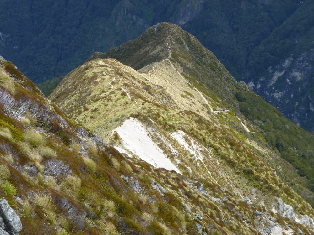Kepler Track