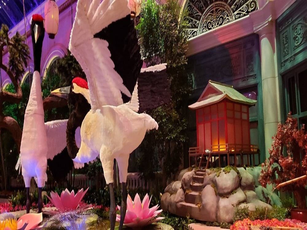 Bellagio Conservatory & Botanical Garden