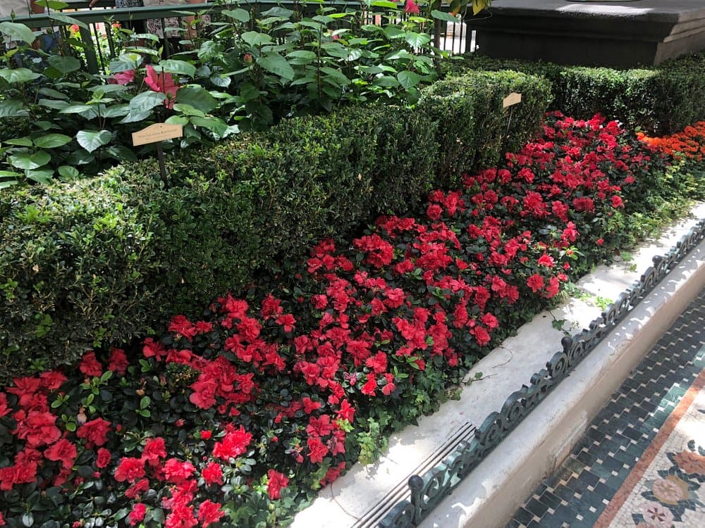 Las Vegas: Bellagio Conservatory & Botanical Garden | ®ExcursionMania
