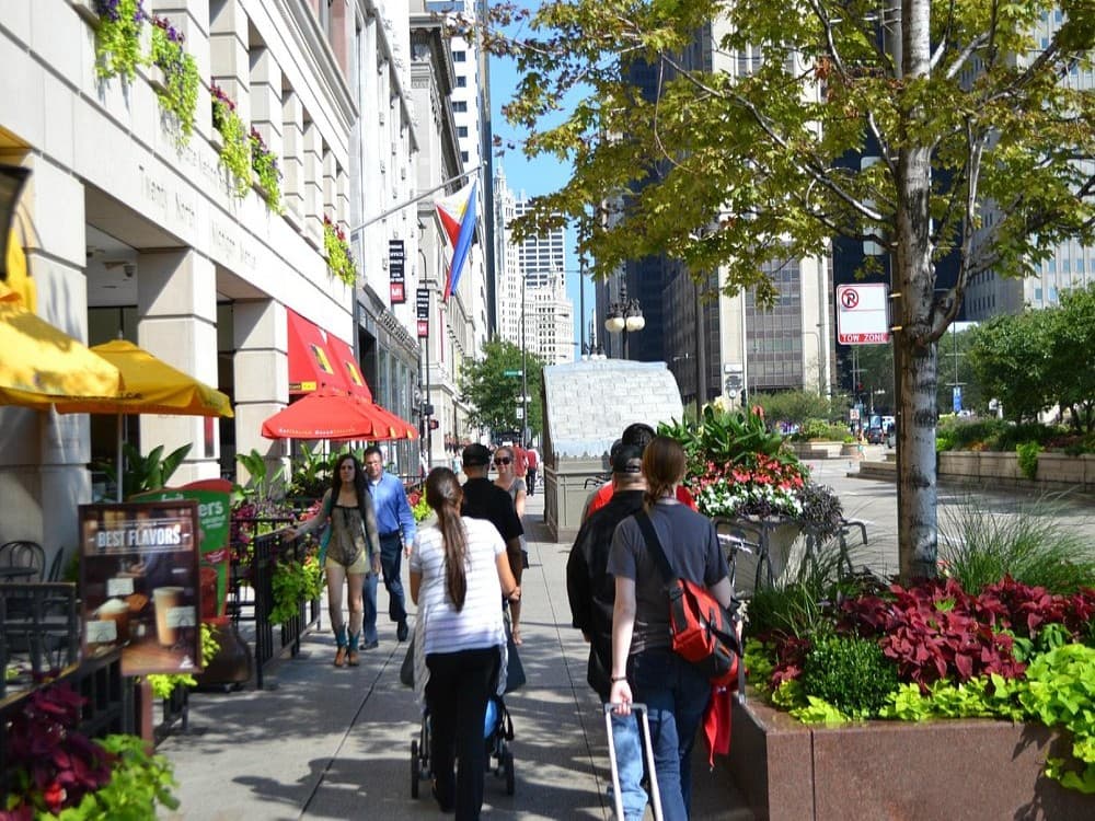 The Magnificent Mile