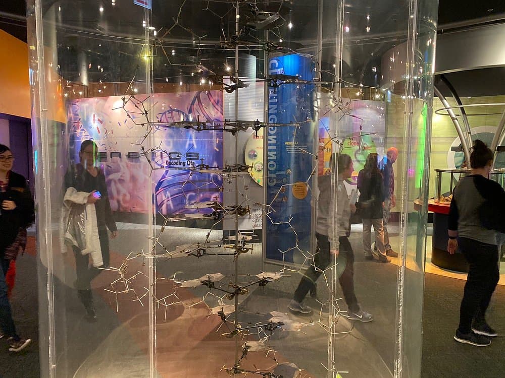 Museum of Science and Industry