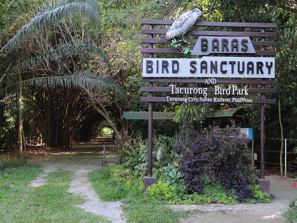 Punanga Manu o Te Anau