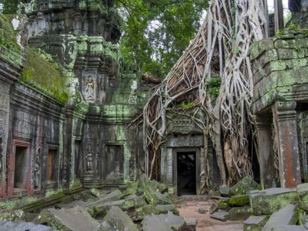 Ta Prohm