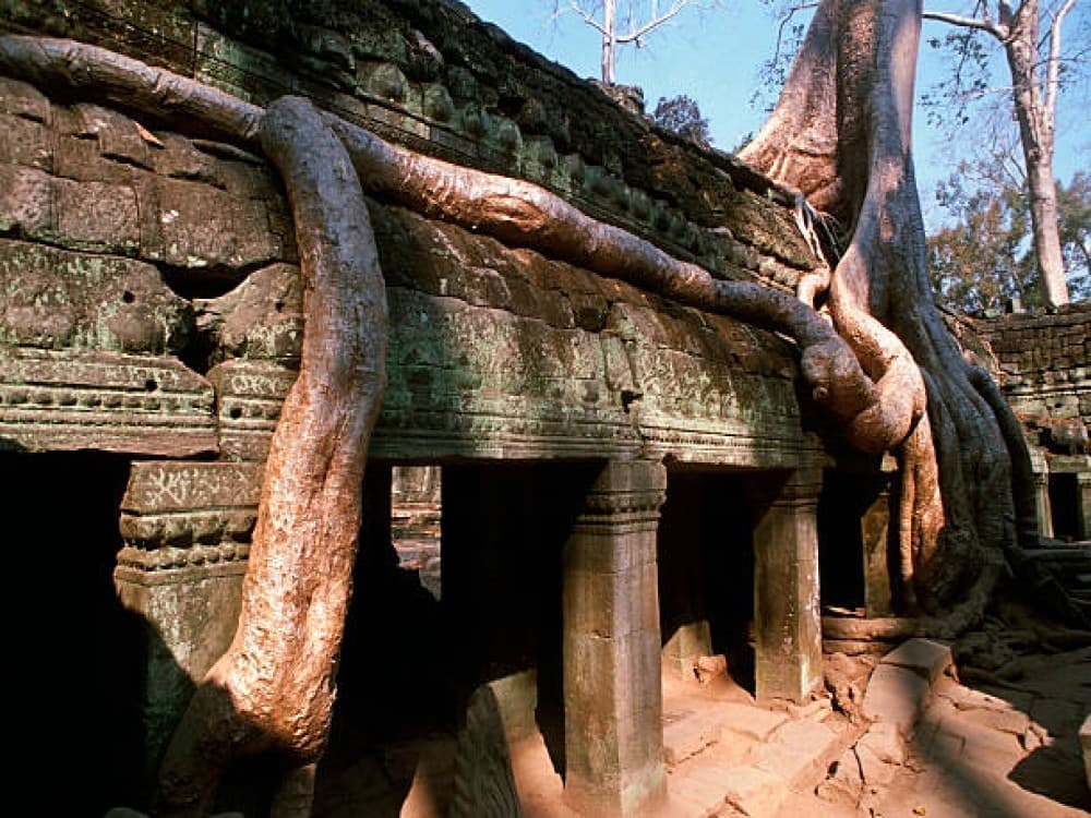 Ta Prohm