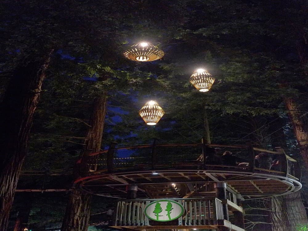 Redwoods, Whakarewarewa Forest