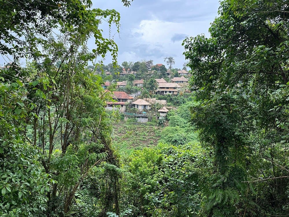 Ubud: Campuhan Ridge Walk | ®ExcursionMania