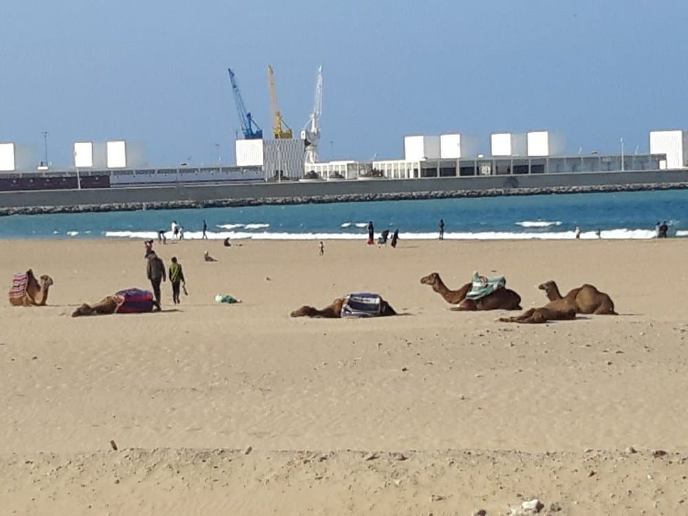 Plage de Tanger
