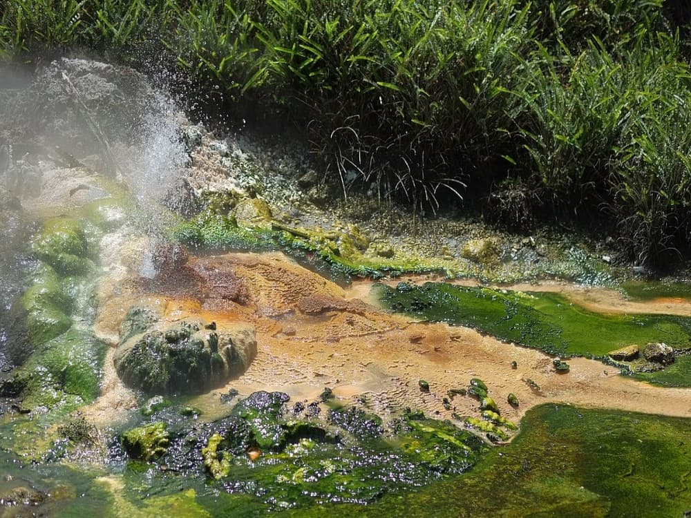 Waimangu Volcanic Valley