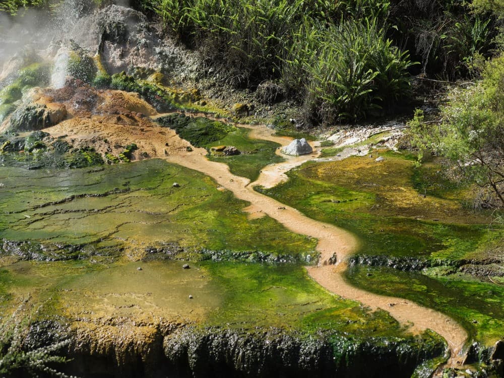 Waimangu Volcanic Valley