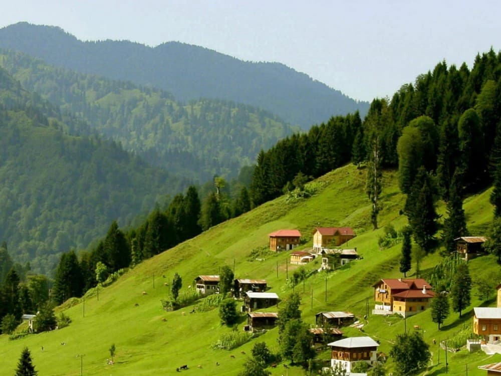Ayder Plateau