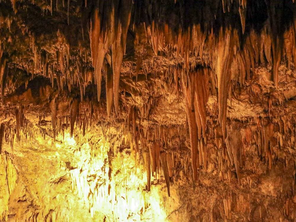 Alanya: Alanya Sapadere Canyon Tours | ®ExcursionMania