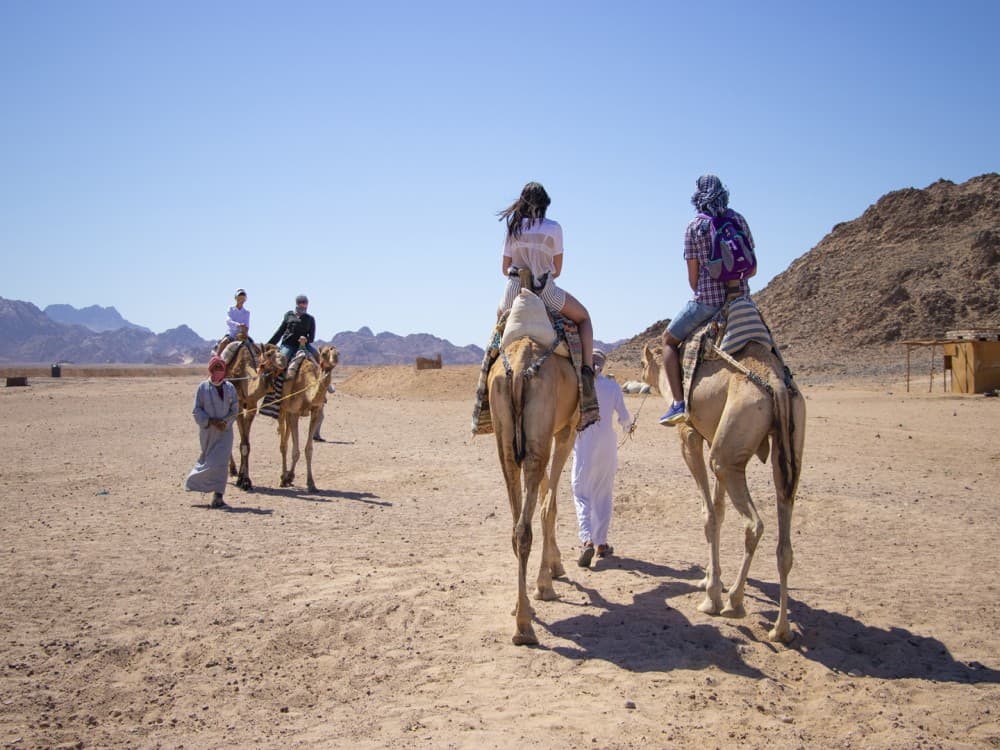Desert Safari in Cairo