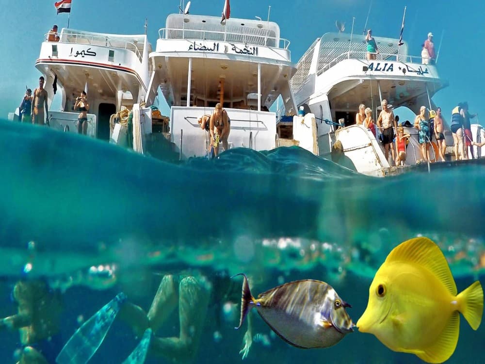 Boat Trip in Sharm el-Sheikh