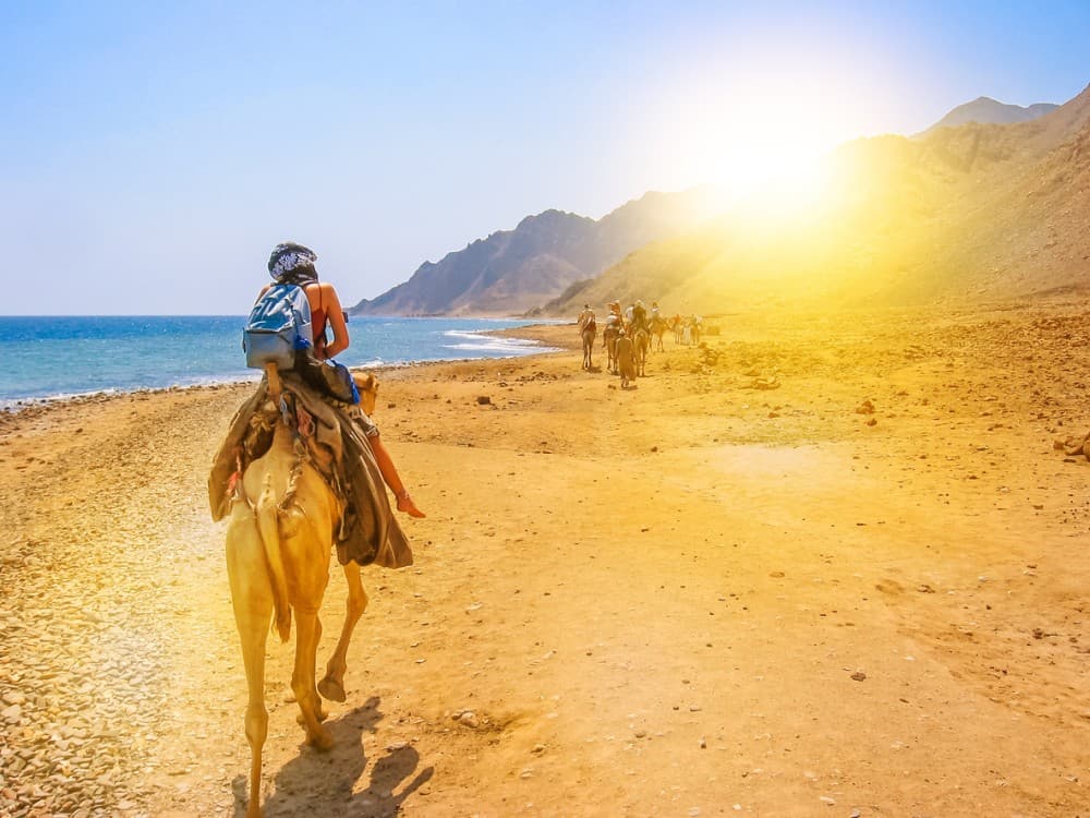 Desert Safari in Sharm el-Sheikh