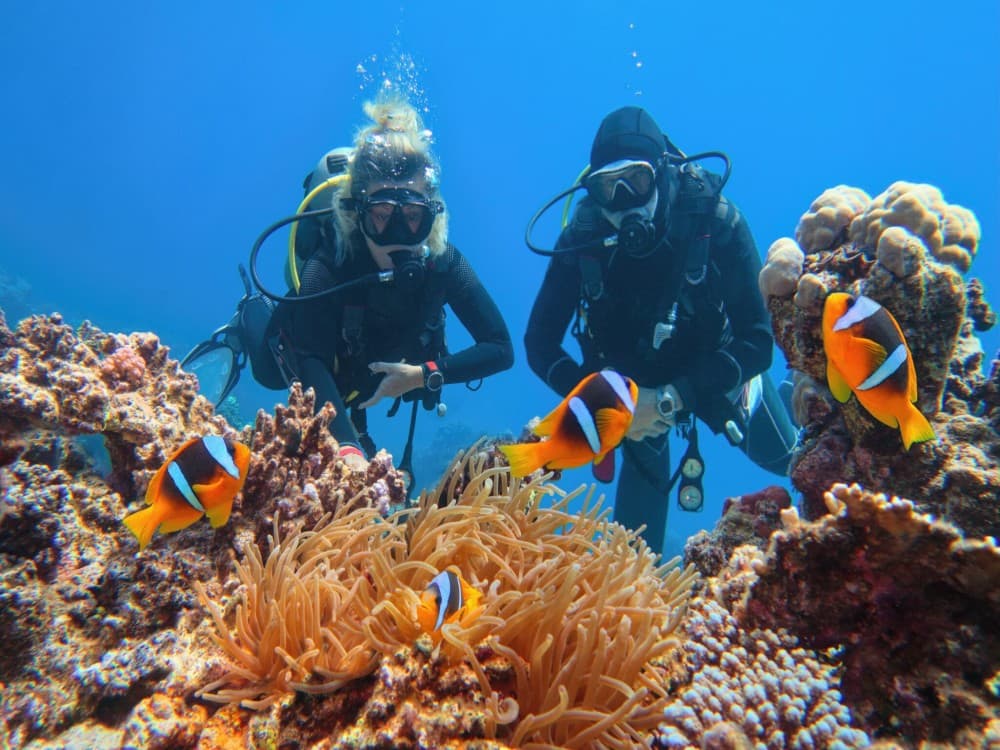 Scuba Diving Exprience in Sharm El-Sheikh