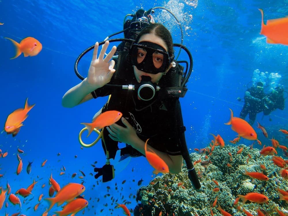 Scuba Diving Exprience in Sharm El-Sheikh