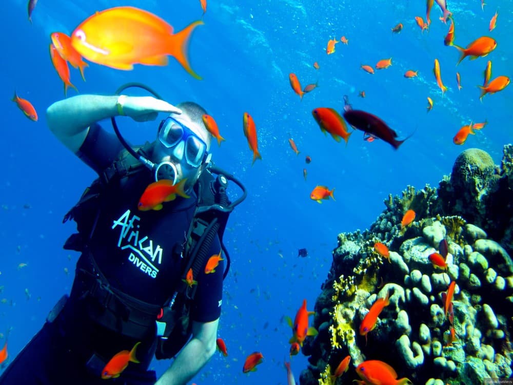 Scuba Diving Exprience in Sharm El-Sheikh