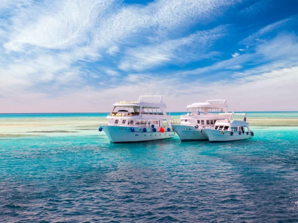 Ras Mohammed Tours in Sharm El-Sheikh