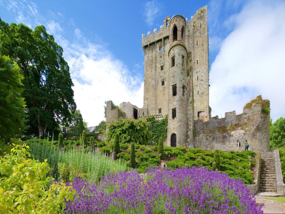 Blarney Castle & Gardens